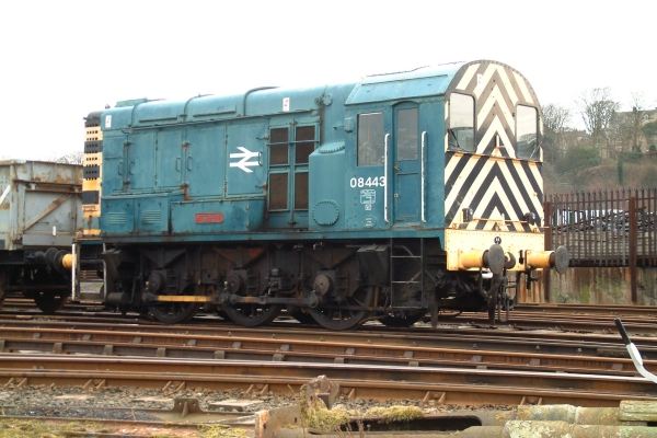 0-6-0 Class 08 Shunting locomotive, British Railways No.D3558 (08443)